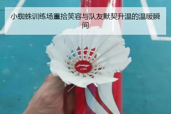 小蜘蛛训练场重拾笑容与队友默契升温的温暖瞬间