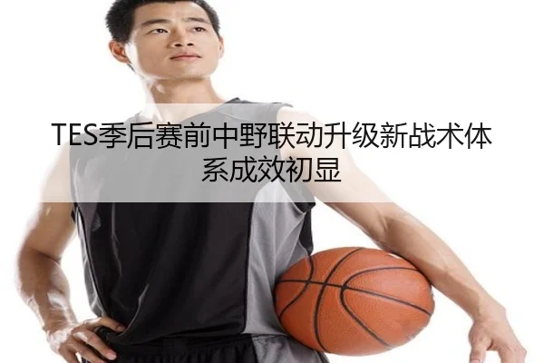 TES季后赛前中野联动升级新战术体系成效初显